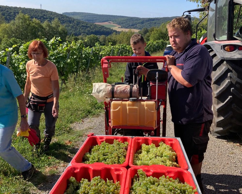 IMG-20240826-WA0025