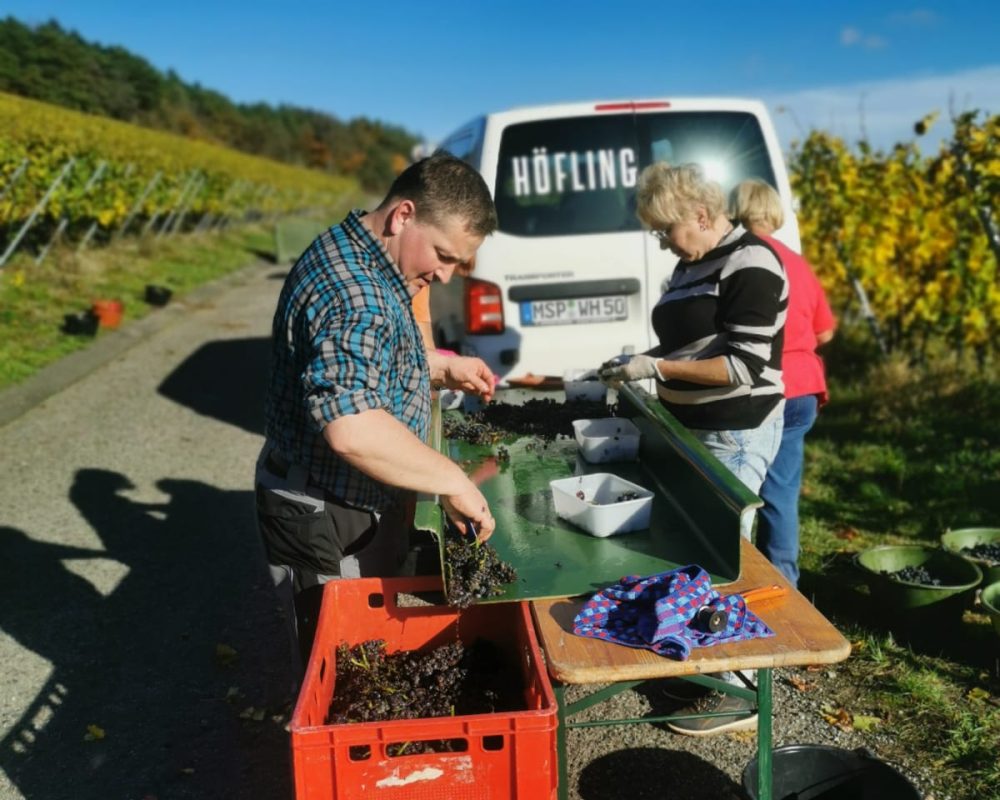 Lese Spätburgunder AUL (1)